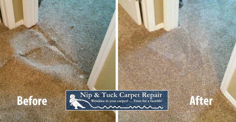Carpet Patching Damaged Carpet Pet